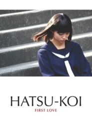 First Love 2006 one on netflix
