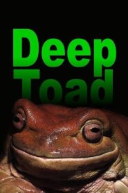 Deep Toad 2003 one on netflix