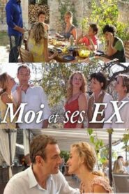 Moi et ses ex 2011 one on netflix