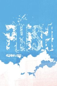 Phish: Coral Sky 2010 one on netflix