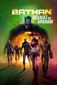 Batman: Assault on Arkham 2014 one on netflix