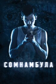 Somnambulist 2013 one on netflix