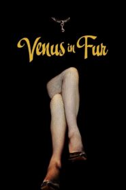 Venus in Fur 2013 one on netflix