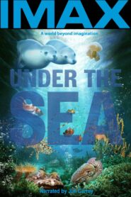 Under the Sea 3D 2009 one on netflix