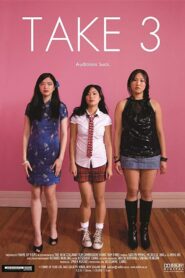 Take 3 2008 one on netflix
