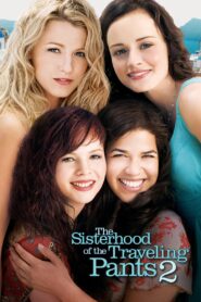The Sisterhood of the Traveling Pants 2 2008 one on netflix