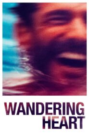Wandering Heart 2021 one on netflix