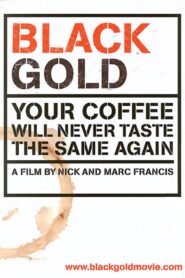 Black Gold 2006 one on netflix