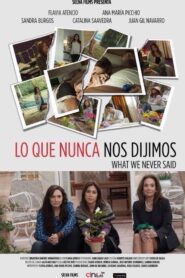 What We Never Said 2015 one on netflix
