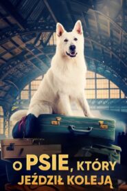 Lampo, the Travelling Dog 2023 one on netflix