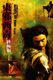 Ashes of Time : Redux 2009 one on netflix