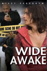 Wide Awake 2007 one on netflix