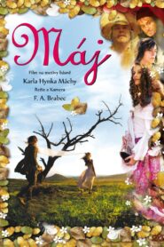 May 2008 one on netflix