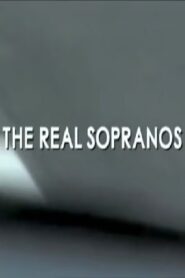 The Real Sopranos 2006 one on netflix
