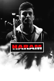 Haram 2014 one on netflix