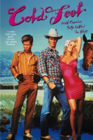 Cold Feet 1989 one on netflix