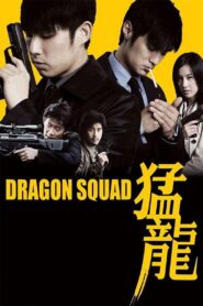 Dragon Squad 2005 one on netflix