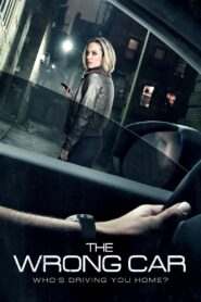 The Wrong Car 2016 one on netflix