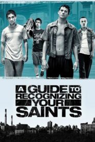 A Guide to Recognizing Your Saints 2006 one on netflix