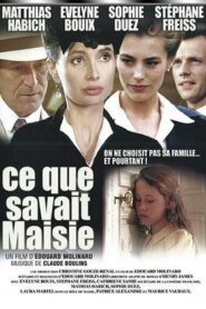 What Maisie Knew 1993 one on netflix