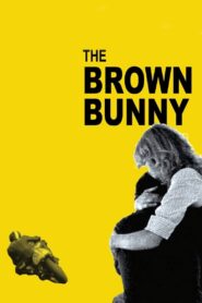The Brown Bunny 2003 one on netflix
