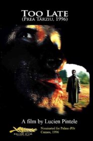 Too Late 1996 one on netflix