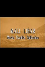 A Little Inscription of Marko Uvodic from Split 1997 one on netflix