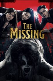 The Missing 2020 one on netflix