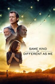 Same Kind of Different as Me 2017 one on netflix