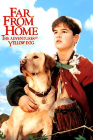 Far from Home: The Adventures of Yellow Dog 1995 one on netflix