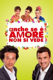 Anche se è amore non si vede 2011 one on netflix