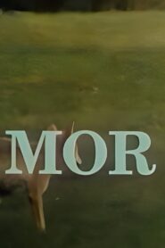 Mor 1992 one on netflix