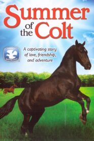 Summer of the Colt 1991 one on netflix