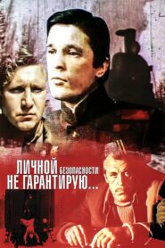 I Don’t Guarantee Personal Safety 1980 one on netflix