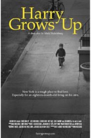Harry Grows Up 2012 one on netflix