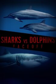 Sharks Vs. Dolphins: Face Off 2016 one on netflix