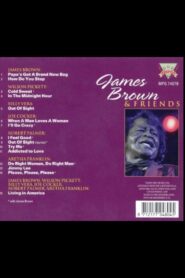 James Brown & Friends: A Night of Super Soul 1987 one on netflix