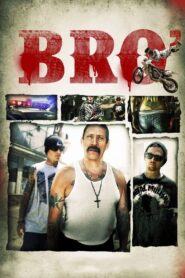 Bro’ 2012 one on netflix
