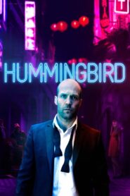 Hummingbird 2013 one on netflix