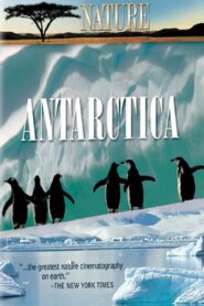Under Antarctic Ice 2003 one on netflix