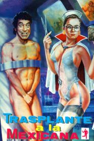 Transplante a la mexicana 1990 one on netflix