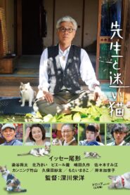 Teacher and Stray Cat 2015 one on netflix