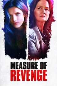 Measure of Revenge 2022 one on netflix