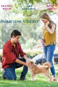 Hometown Hero 2017 one on netflix