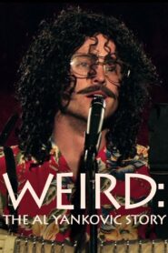 Weird: The Al Yankovic Story 2010 one on netflix