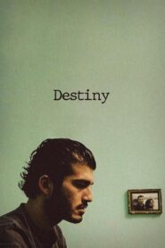 Destiny 2006 one on netflix