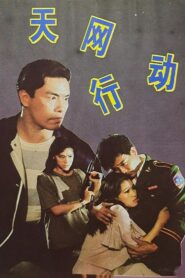 Net of Heaven Action 1994 one on netflix