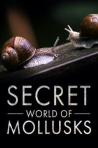 Secret World of Mollusks 2021 one on netflix