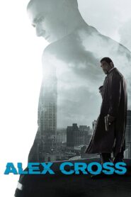 Alex Cross 2012 one on netflix