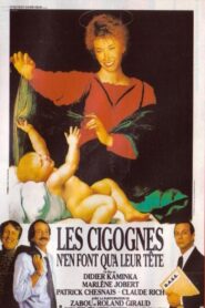 Les cigognes n’en font qu’à leur tête 1989 one on netflix